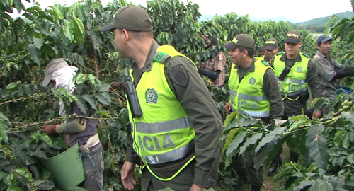 230815-lanzamiento-plan-cosecha-caldas