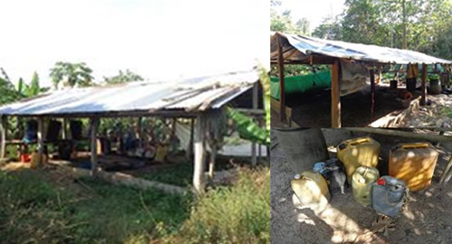 fuerte-ofensiva-contra-estupefacientes