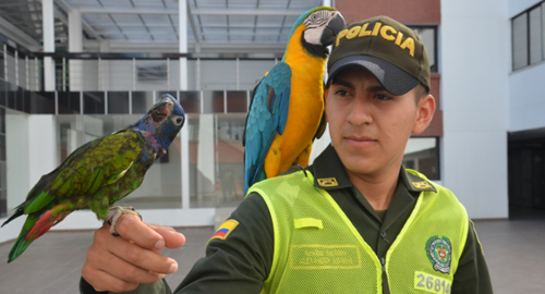 091015-recuperacion-animales-cautiverio-putumayo