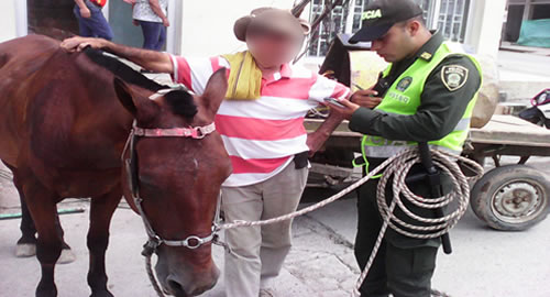 rescate_caballo