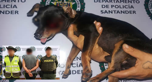 policia-captura-sujeto-maltrato-perro-santander
