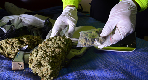 101114-narco-las playas-capturados-banda-medellin