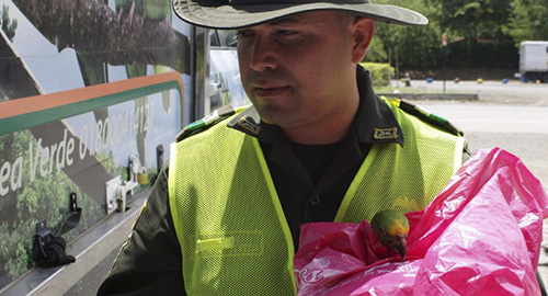 150415-incautacion-animales-antioquia-