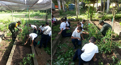 carabineros proyectos productivos