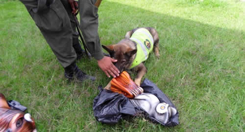 hallazgo_estupefacientes_policia