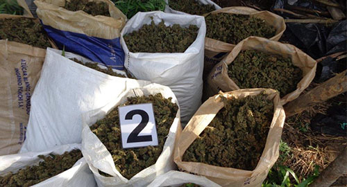 121114-santa-marta-marihuana-incautada